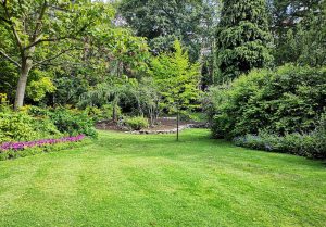 Optimiser l'expérience du jardin à Villeneuve-les-Montreal